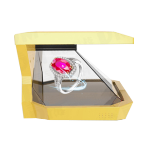 19 inch 270 Degree Holographic Display